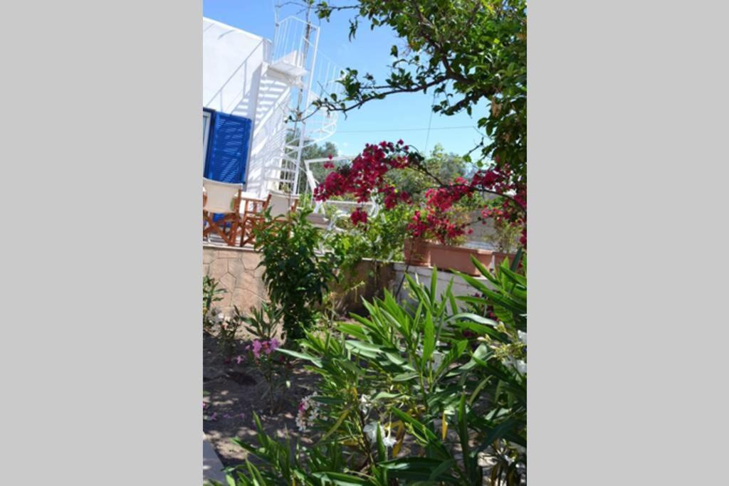 Aegina House公寓 外观 照片