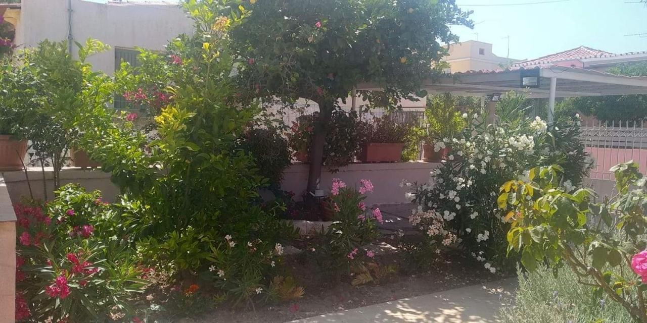 Aegina House公寓 外观 照片
